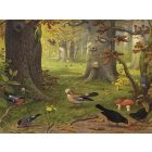 Behang / Natural History tapéta