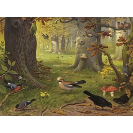 Behang / Natural History tapéta