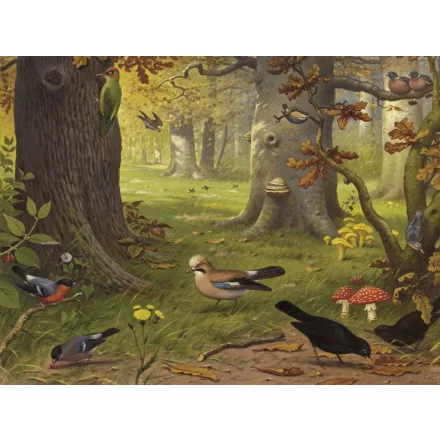 Behang / Natural History tapéta