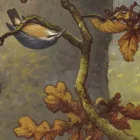 Behang / Natural History tapéta