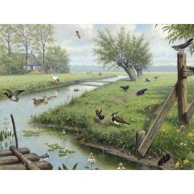 Behang / Natural History tapéta