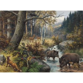 Behang / Natural History tapéta