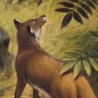 Behang / Natural History tapéta