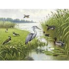 Behang / Natural History tapéta