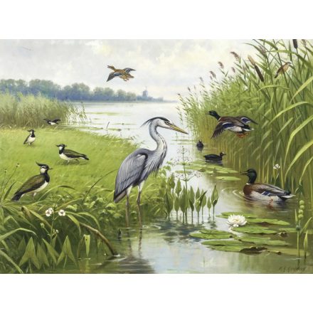 Behang / Natural History tapéta