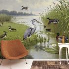 Behang / Natural History tapéta