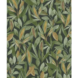 Casadeco / Nicaragua tapéta