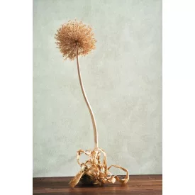 Casadeco / Nicaragua tapéta