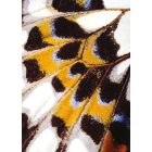 Casadeco / Nicaragua tapéta