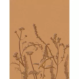 Casadeco / Natura tapéta