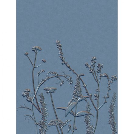 Casadeco / Natura tapéta