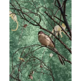 Casadeco / Voyage Onirique tapéta