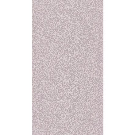 OXFD84124303
