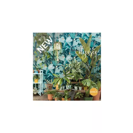 Caselio / L'odyssée tapétakönyv***