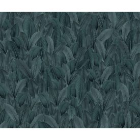 Komar / Pure Edition 1 poszter