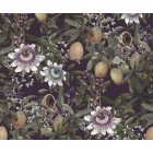 Komar / Pure Edition 1 poszter