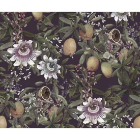 Komar / Pure Edition 1 poszter