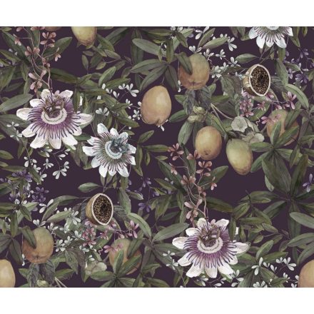 Komar / Pure Edition 1 poszter