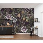 Komar / Pure Edition 1 poszter