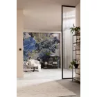 Komar / Pure Edition 1 poszter