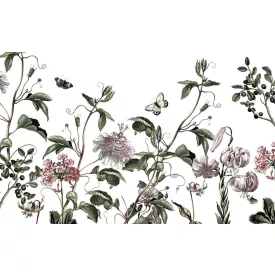 Komar / Pure Edition 1 poszter