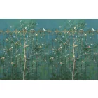 Komar / Pure Edition 1 poszter