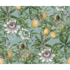 Komar / Pure Edition 1 poszter