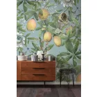 Komar / Pure Edition 1 poszter