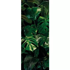 Komar / Pure Edition 1 poszter