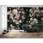 Komar / Pure Edition 1 poszter