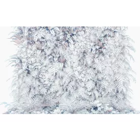 Komar / Pure Edition 1 poszter