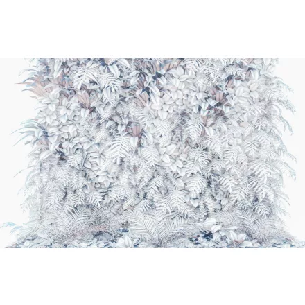 Komar / Pure Edition 1 poszter