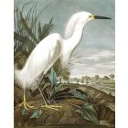 Kek Amsterdam / PA - Panel tapéta