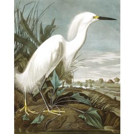 Kek Amsterdam / PA - Panel tapéta