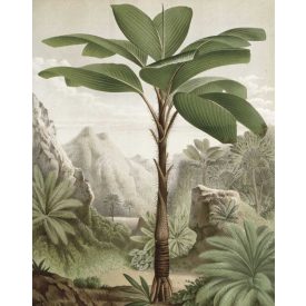 Kek Amsterdam / PA - Panel tapéta