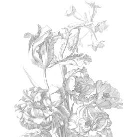 Kek Amsterdam / PA - Panel tapéta