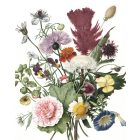 Kek Amsterdam / PA - Panel tapéta