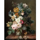 Kek Amsterdam / PA - Panel tapéta