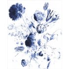 Kek Amsterdam / PA - Panel tapéta