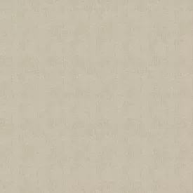 Sketchtwenty3 / Pavone tapéta