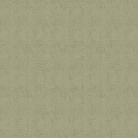 Sketchtwenty3 / Pavone tapéta