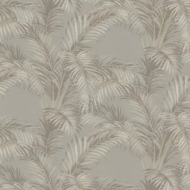 Sketchtwenty3 / Pavone tapéta