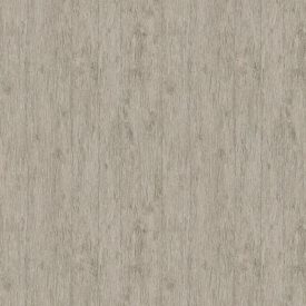 Sketchtwenty3 / Pavone tapéta