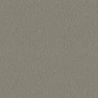 Sketchtwenty3 / Pavone tapéta