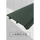 Carlos Ezüstszürke