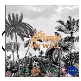 Caselio / Pimp My Wall tapétakönyv