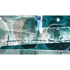 Komar / Pure Edition 1 poszter