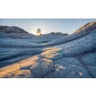 Komar / Pure Edition 1 poszter