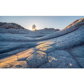 Komar / Pure Edition 1 poszter