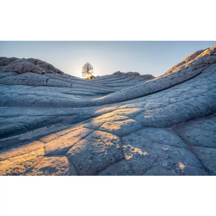 Komar / Pure Edition 1 poszter